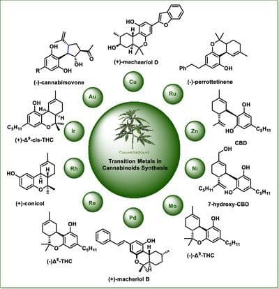 Recent Advances in Organometallic Reagents and Catalysts: A Concise Strategy to Synthesize Cannabinoid Natural Products