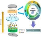 Recent Progress on CoP as Anodes for Metal–Ion Batteries