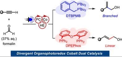 Regiodivergent Ligand‐Controlled Cobalt‐Catalyzed Reductive Hydroxymethylation of Alkynes with Aqueous Formaldehyde