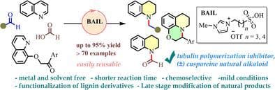 Reusable Brønsted Acidic Ionic Liquid Catalyzed Reductive Alkylation of Quinolines to Functionalized Tetrahydroquinolines