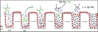 Revealing the Role of the Confining Effect of Nanoporous Carbons in the Catalytic Conversion of Ethylene on NiMo Catalysts