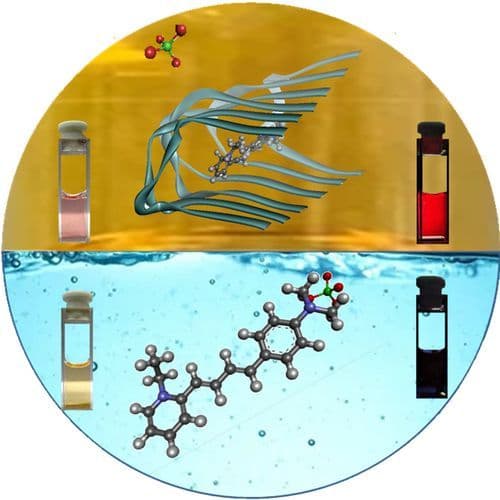 Role of Ion‐Pair and H‐Bonding in Colorimetric Detection of Insulin Fibrils with Picomolar Sensitivity