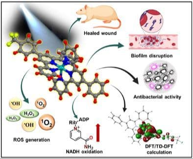 Ru(II)‐Based Photo‐Antibiotics: Light‐Driven Eradication of Bacterial Biofilm and Rapid Healing of Infective Wounds in Wistar Rat