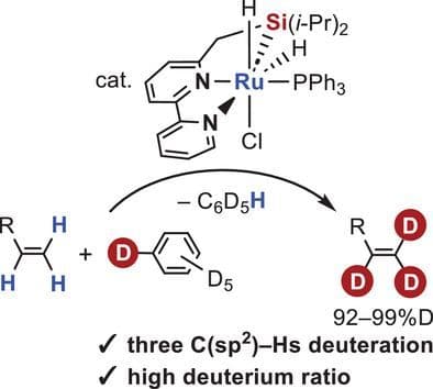 Seven‐Coordinate Ruthenium Complex with an SiNN‐Pincer Ligand as a Catalyst for Vinyl C─H Deuteration of Olefins