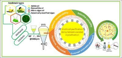 Solvent‐Aided Crystallization for Biodiesel Purification: A Review of the Technique's Proficiency