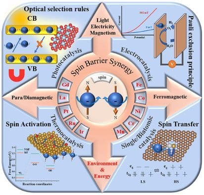 Spin Polarization and Barrier Synergy: New Paradigms in Catalytic Science