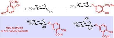Sterically Directed Site‐ and Stereoselective O‐Glycosylation of tert‐Butyl Gentisate