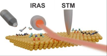 Structure Formation in the Wetting Layer of a Carbonyl‐Functionalized Ionic Liquid on Au(111): How to Control the Functional Group?