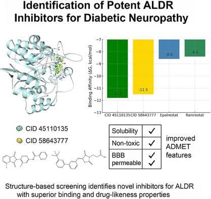 Structure‐Guided Identification and Evaluation of Epalrestat and Ranirestat‐Like Compounds Against Aldose Reductase: Therapeutic Management of Diabetic Neuropathy