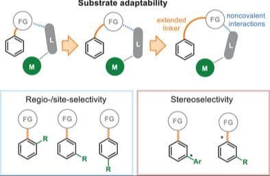 Substrate Adaptability Enabled by Remote Noncovalent Interactions: How Far Are We?