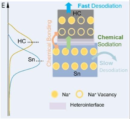 Synergistic Heterointerface Coupling Enables Long‐Life Sn‐Based Anodes for Na‐Ion Batteries