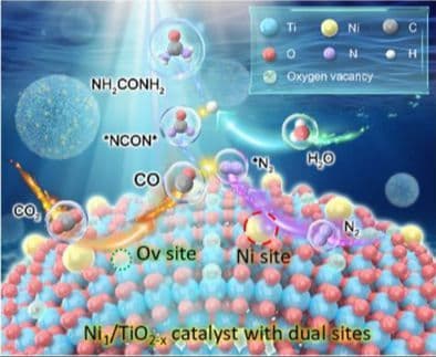Synergy of Oxygen Vacancies and Ni Single Atoms Toward Efficient Urea Photosynthesis from CO2 and N2
