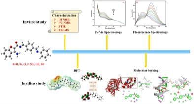 Synthesis and Spectroscopic Investigation of 3‐Aminobenzofuran‐2‐carboxamide Schiff Base Derivatives for DNA/HSA Binding