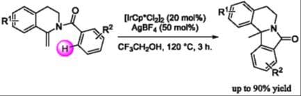 Synthesis of 12b‐Methyl‐Isoindoloisoquinolin‐8‐ones via Iridium‐Catalyzed Intramolecular Hydroarylation of Phenacyl Enamides