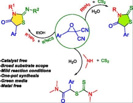 Synthesis of Thioxothiazolidinone and Iminothiazolidinone Derivatives via Dicyano Epoxide‐Based Multicomponent Reactions in Green Media