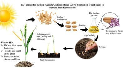 Synthesis of Titanium Dioxide‐Embedded Alginate–Chitosan‐Based Coating for Enhanced Wheat Seed Germination under Abiotic Stress