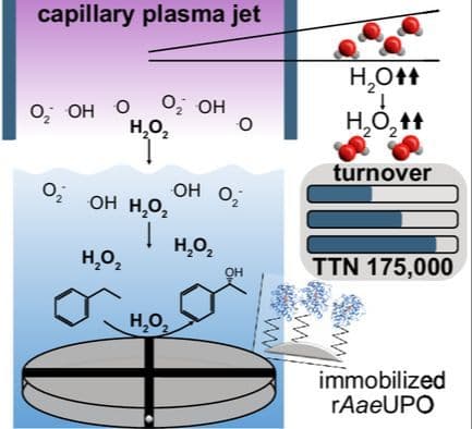 The Atmospheric Pressure Capillary Plasma Jet Is Well‐Suited to Supply H2O2 for Plasma‐Driven Biocatalysis