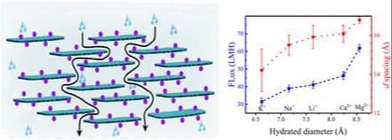 Tuning Water Transport through Nanochannels of Robust Cation‐Intercalated Ti3C2Tx MXene Membranes
