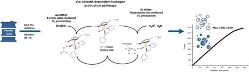 Unveiling Solvent‐Dependent Divergent Hydrogen Production Pathways during the Dehydrogenation of Formic Acid Using N,N′‐Iminopyridine Ruthenium(II) Complexes