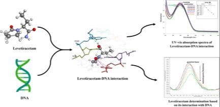 Voltammmetric Assessment and Examination of the Interactions between Levetiracetam and DNA: Experimental Research, Molecular Docking, and Modeling Studies