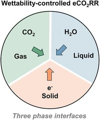 Wettability‐Controlled Electrocatalytic Carbon Dioxide Reduction